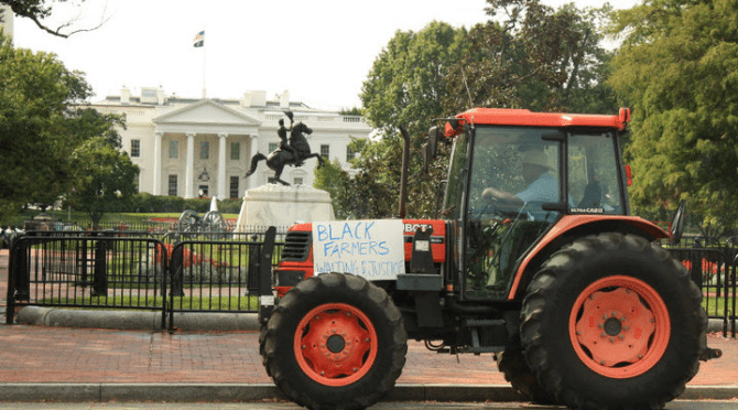 CMNTY CULTURE’s DEBUT FILM PROJECT ‘THE LAST PLANTATION’